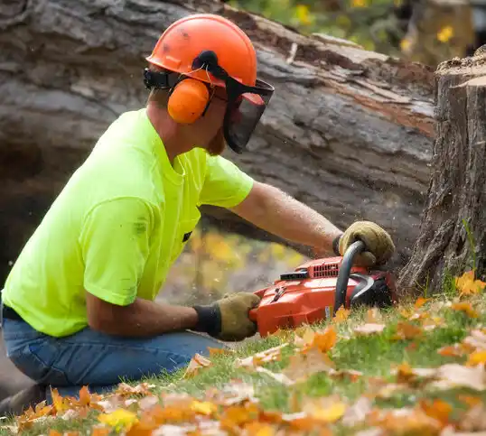 tree services Algonquin